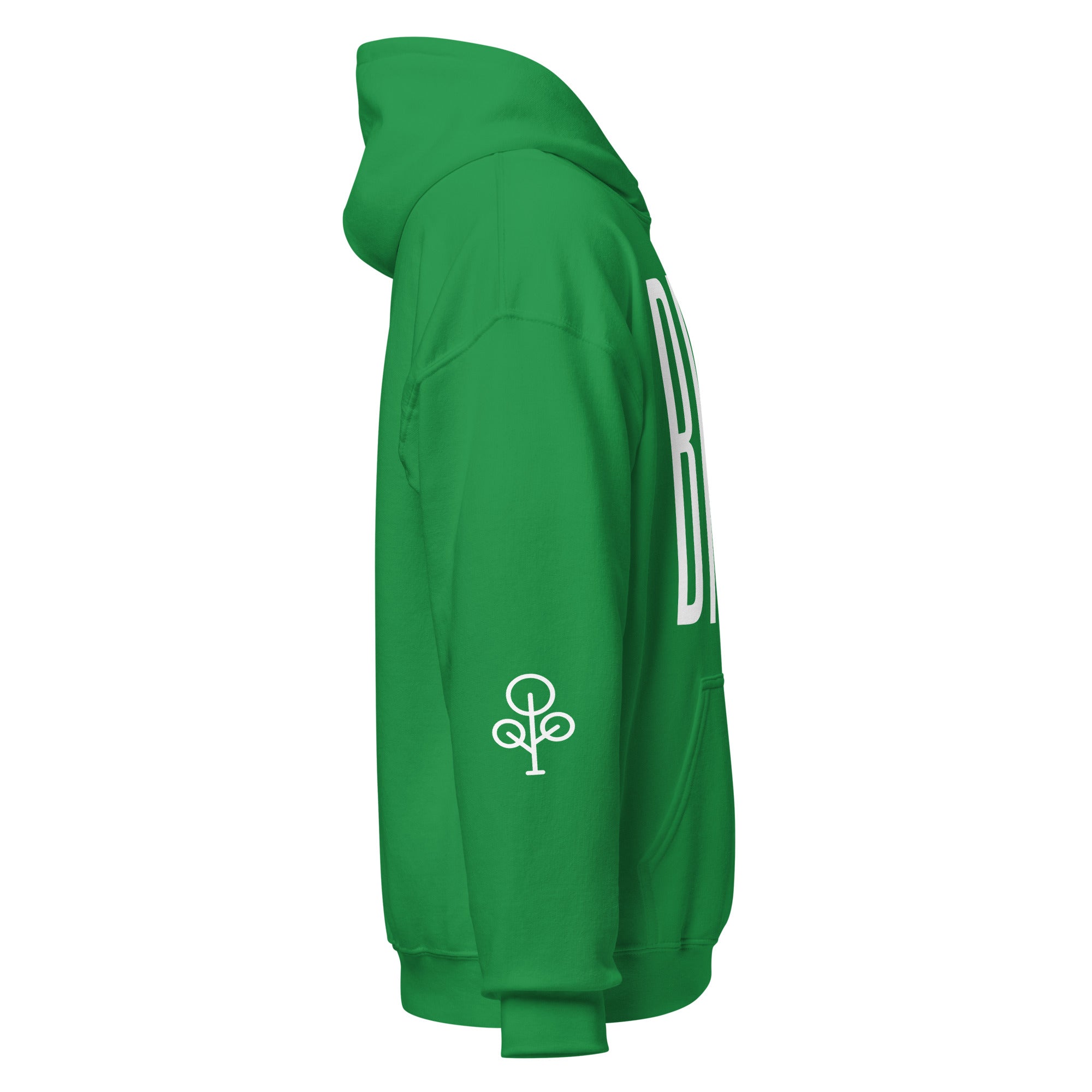 BHSE Family Ties Hoodie