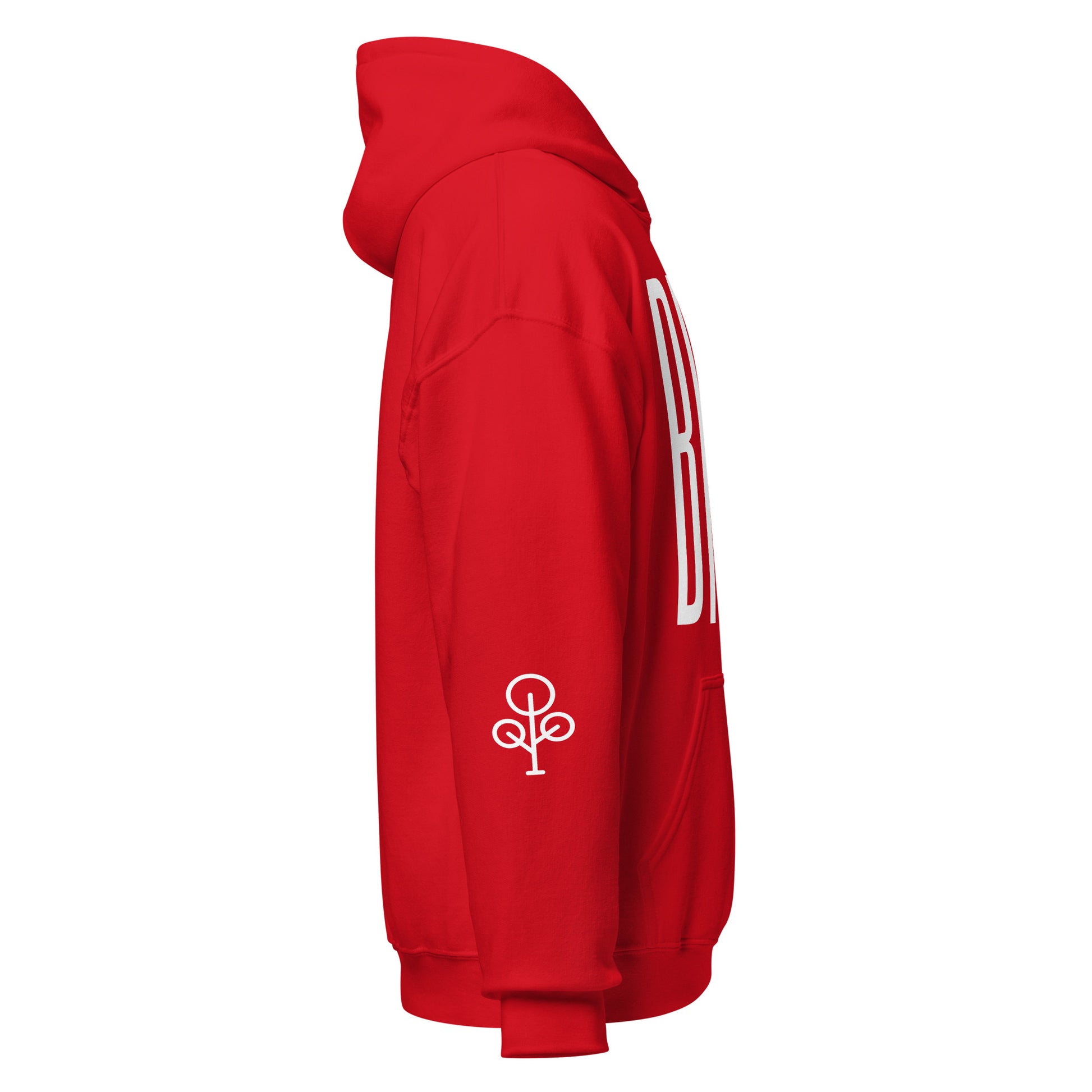 BHSE Family Ties Hoodie