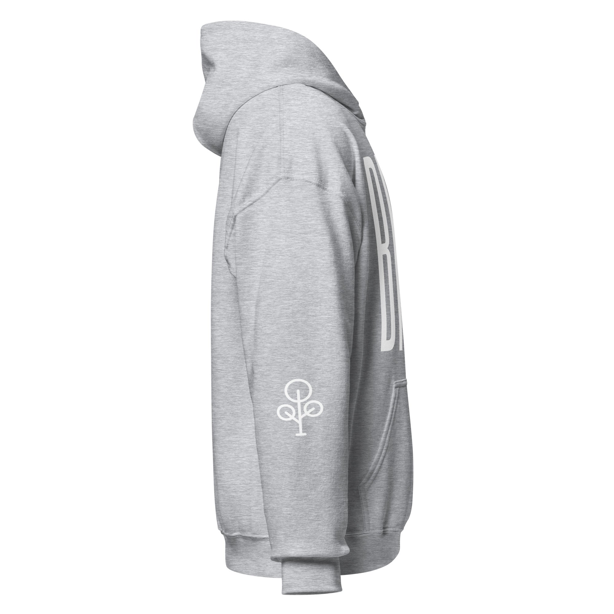 BHSE Family Ties Hoodie